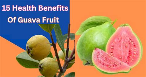 The Incredible 10 Health Benefits of Guava Fruit