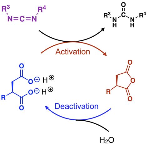 Carbodiimide-fueled reaction cycles – BoekhovenLab