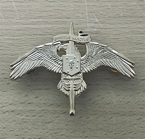 MARSOC INSIGNIA BADGE (WITH SKULL) – Direct Action Apparel