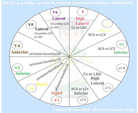 ECG Educator Blog : Introduction to the 12-lead ECG