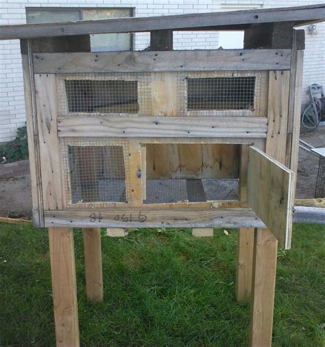 Simple DIY Pigeon Loft | BackYard Chickens - Learn How to Raise Chickens