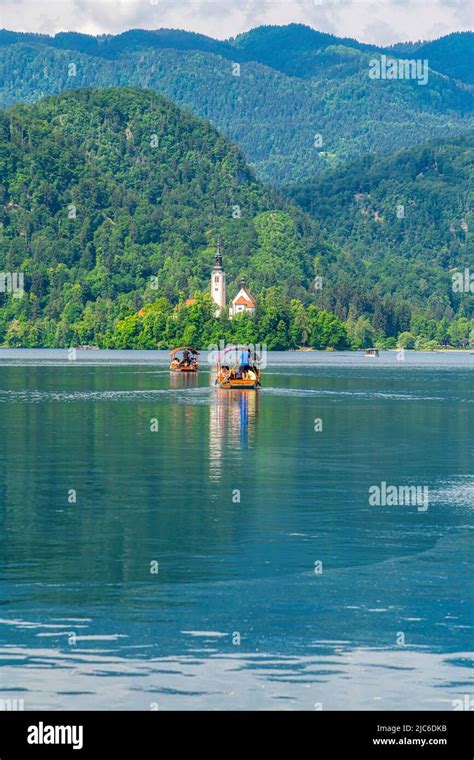 Traditional Pletna boat on the Bled lake. A boat that transports tourists to the island where ...