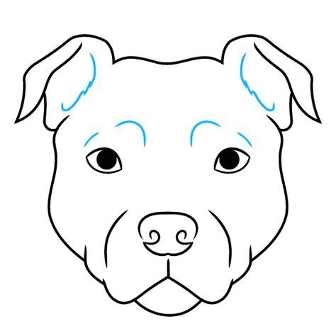 How to Draw a Pitbull Face - Really Easy Drawing Tutorial