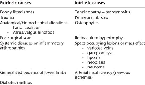 Causes of tarsal tunnel syndrome (TTS) | Download Scientific Diagram