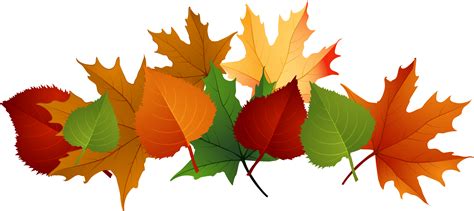 Fall Leaf Cartoon Drawing : Leaf Clip Art Images Free Clipart Images ...