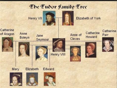 Family tree | The tudor family, Tudor history, Family tree