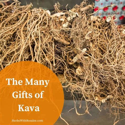 Kava Effects