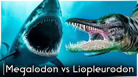 Megalodon vs Liopleurodon - Who Would Win? - YouTube