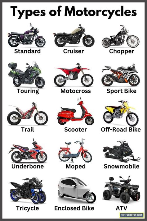 15 Types of Motorcycles- Know Your Options | Daily Infographic | Motorcycle types, Motorcycle ...