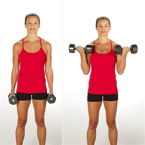 Bicep Curl | Sculpt and Strengthen Your Arms With This 3-Week Challenge ...