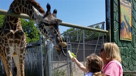 10 Wisconsin zoos outside of Milwaukee worth a visit