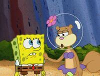 Karate Island | Encyclopedia SpongeBobia | Fandom