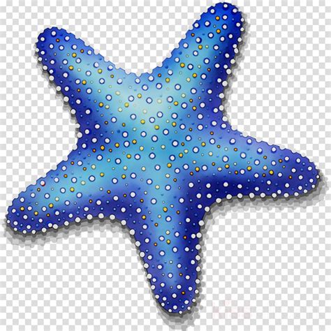 Starfish clipart blue starfish, Starfish blue starfish Transparent FREE for download on ...