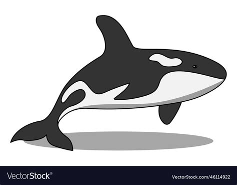 Orca or killer whale cartoon Royalty Free Vector Image