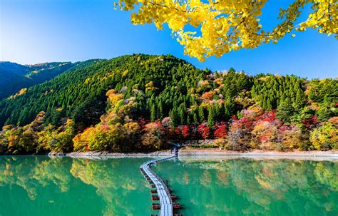 2018 Autumn Foliage Forecast | All About Japan