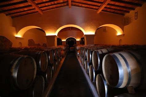 The Best Portugal - Wine Tours (Lisbon) - 2019 All You Need to Know BEFORE You Go (with Photos ...