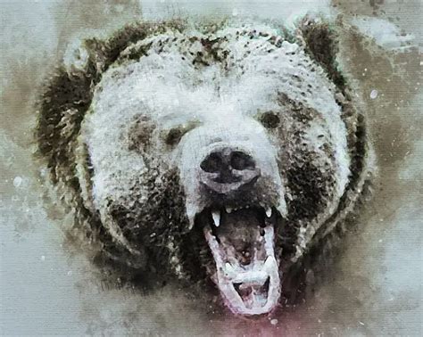 How Strong Is A Grizzly Bear - Grizzly Bear Strength - Zooologist