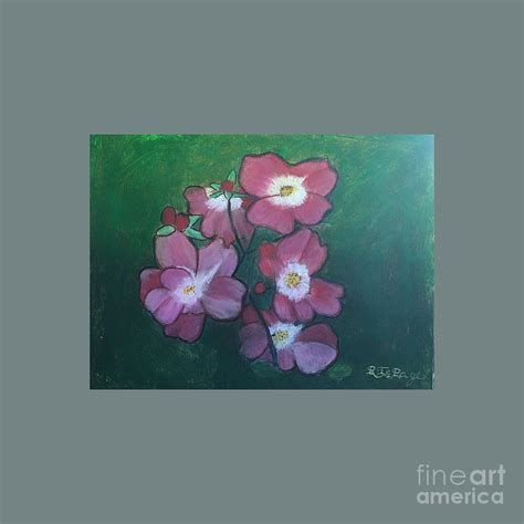 Alberta Wild Rose Drawing by Roland G Dombroski - Fine Art America