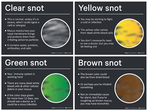 Nasal Mucus Color Chart