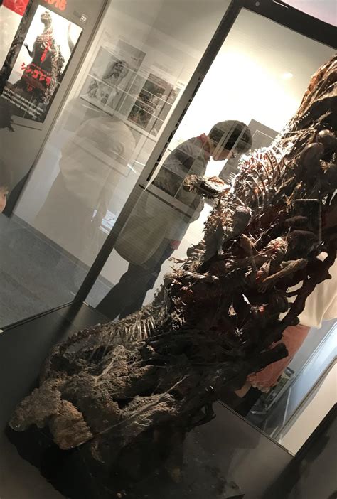 Godzilla Museum: Shin Godzillas tail prop : r/GODZILLA