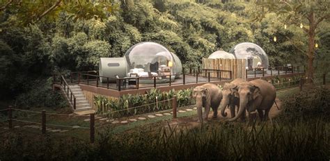 Anantara Golden Triangle Elephant Camp & Resort | Chiang Rai Thailand ...