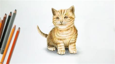 Lukisan 3d Cara menggambar Kucing dengan Pensil Warna, sangat mudah ...