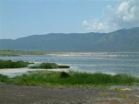 Lake Bogoria National Reserve