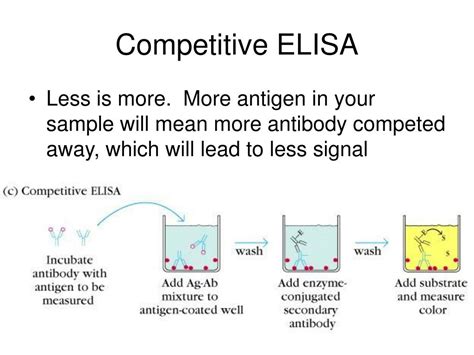 PPT - ELISA (aka Enzyme-Linked Immunosorbent Assay) PowerPoint Presentation - ID:1205356