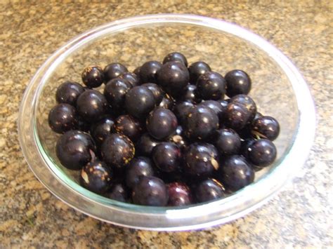 Canadian Brasilian Recipes: Canadian made Jabuticaba Jam