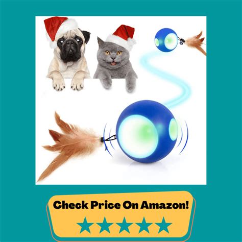 Peppy Pet Balls and Toys your Pets will Love