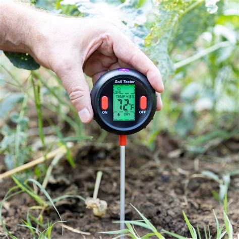 When Is the Best Time of Year for a Soil Test? | The Family Handyman