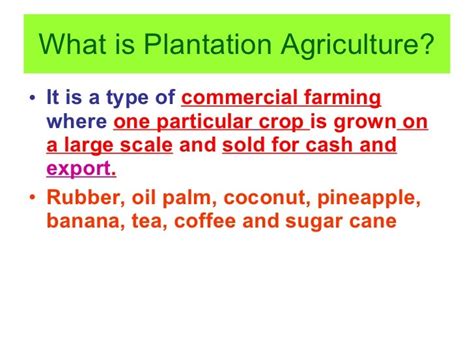 Plantation Agriculture