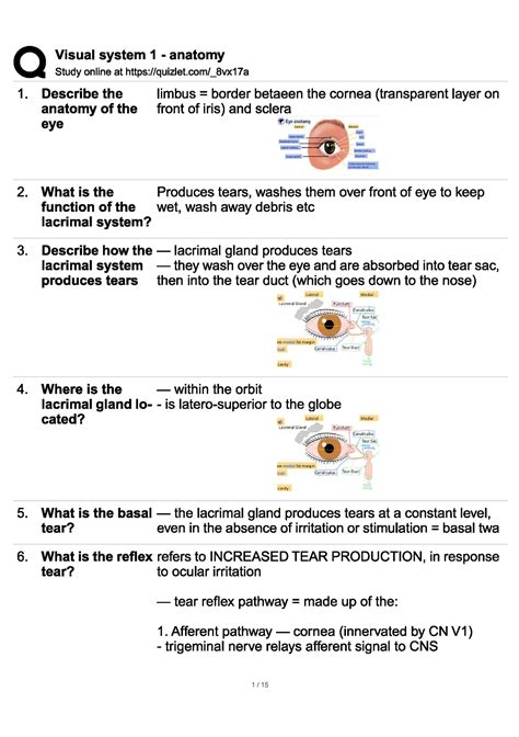 Visual system 1 - anatomy flashcards - MED - Studocu