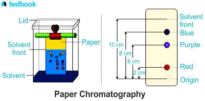 Partition Chromatography: Learn Principle, Procedure, Types & Use