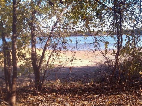 View from my Tent (Unnamed Island in Weiss Lake, Cherokee County, AL ...