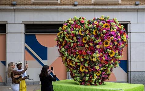 Chelsea in Bloom 2018 | Chelsea flower show, Floral display, Flower show