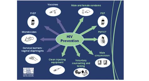 Prevention of bph. Preventing BPH: Essential Strategies to Reduce Risk ...