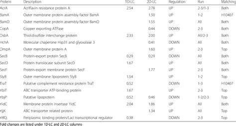 Envelop and periplasmic proteins | Download Table