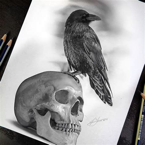 The Raven and The Skull - Pencil Drawing by Julio Lucas :: Behance