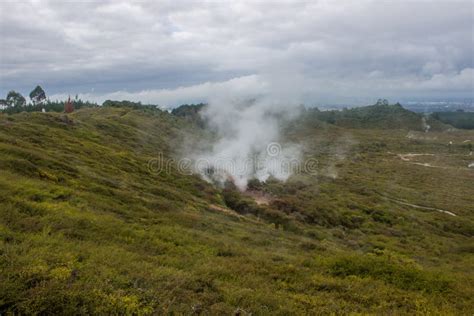 Taupo geothermal park stock photo. Image of trees, volcanic - 116442416