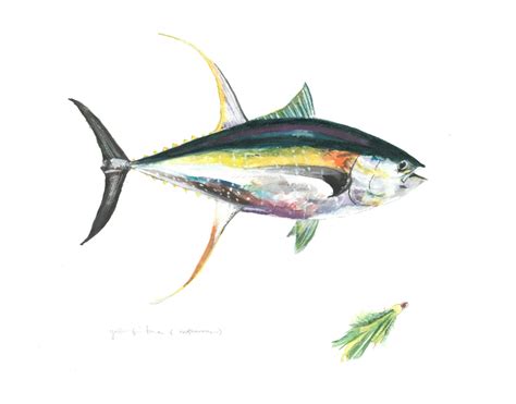 Yellow Fin Tuna Watercolor Giclee Archival Print Custom - Etsy