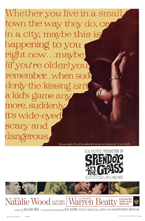 Splendor in the Grass (1961) - Quotes - IMDb