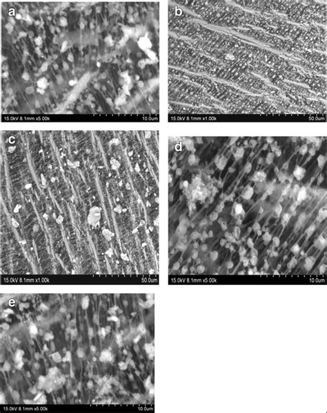 Scanning microscopic images of suspended chalk dust particles | Download Scientific Diagram