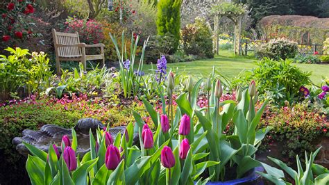 Urban gardens create a buffet for bees