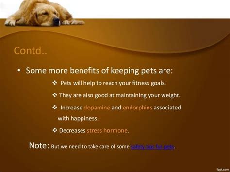 Health benefits of pets