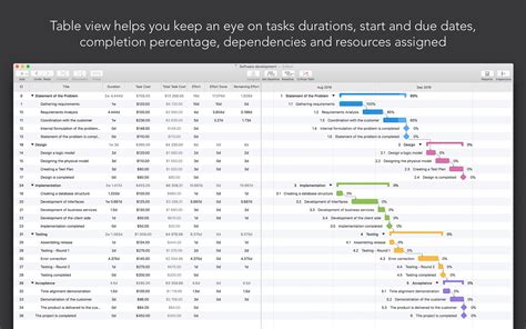 Gantt Chart Software Project Management Pinterest Tim - vrogue.co