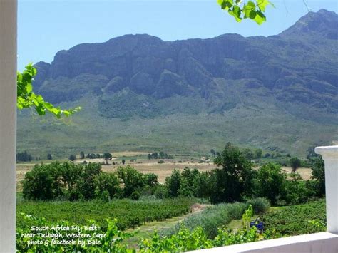 Tulbagh | Western Cape | South African Scenic and Historical Towns