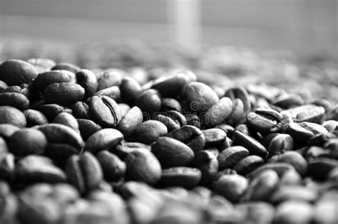 Coffee beans closeup stock photo. Image of dark, white - 84093188