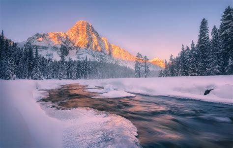 Wallpaper Alberta, Winter, Jasper National Park, Canadian Rockies images for desktop, section ...