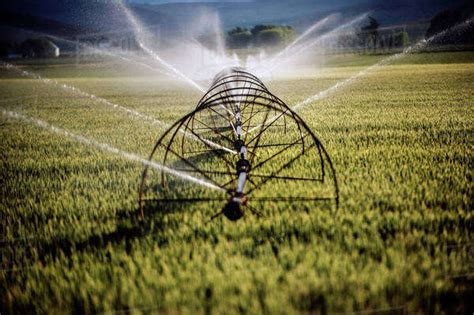 Irrigation system watering crops on farm field - Stock Photo - Dissolve